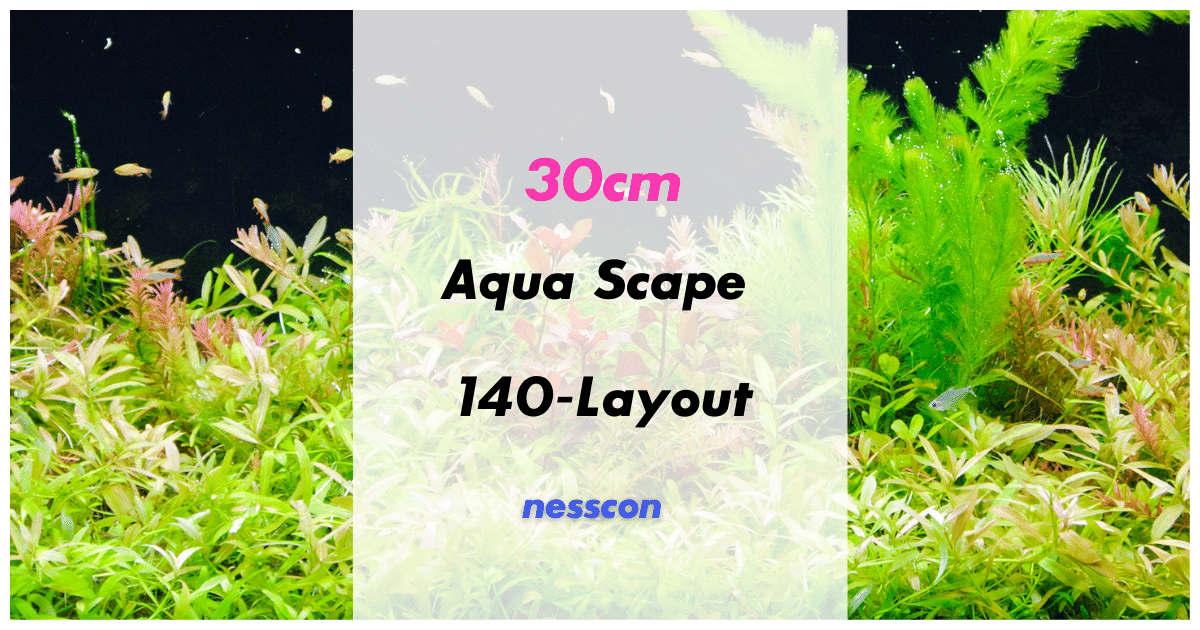 30cm aquascape Works created by 140 Japanese