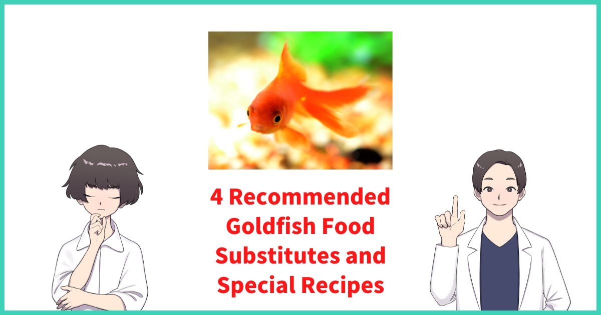 4 Recommended Goldfish Food Substitutes and Special Recipes