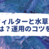 底面フィルターと水草水槽の相性
