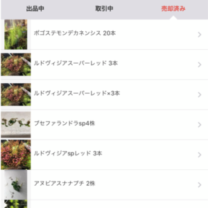 売れる水草とは 副業に適した手堅く売れる水草top5を紹介 アクアリウムを楽しもう