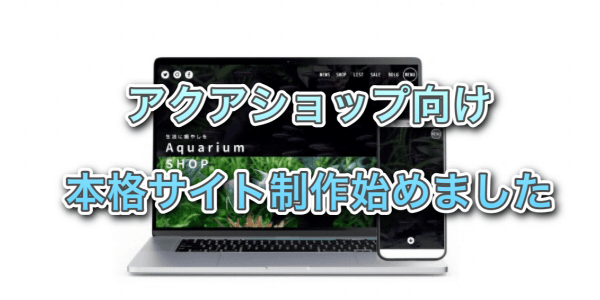 アクアリウムショップ向けホームページ制作始めました 制作費10万円から受付中 アクアリウムを楽しもう アクアリウムショップ向けホームページ制作始めました 制作費10万円から受付中 アクアリウムを楽しもう