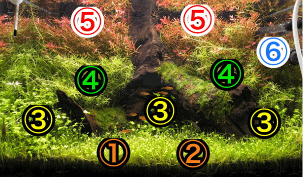 45cm水草水槽を立ち上げてみた グロッソスティグマやロタラを使った初心者でもできるレイアウト アクアリウムを楽しもう