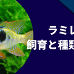 ラミレジィの種類と育成方法