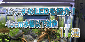 30cm水槽におすすめのledライト12選 最強コスパはどれ 21年11月最新版 アクアリウムを楽しもう