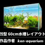 凹構図の60cm水槽レイアウトの作り方と管理方法【ken@aquarium作】