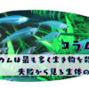 アクアリウムで生き物を死なせる数