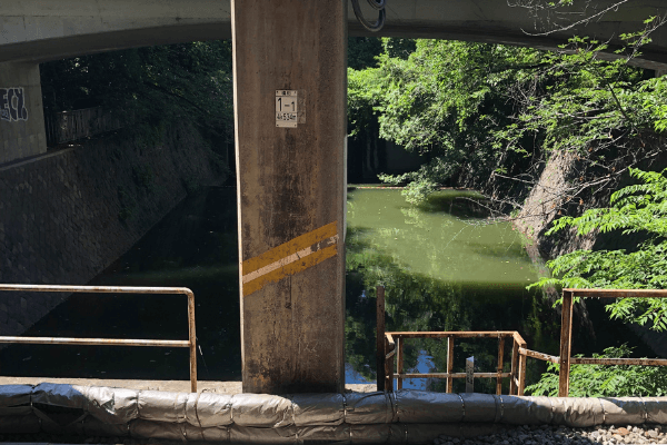 飯田橋駅から見える池