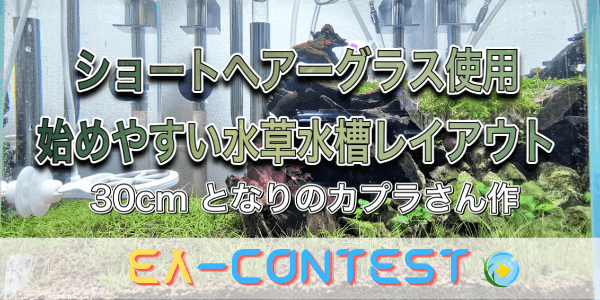 Chihiros機器を使った初心者推奨30cm水草水槽 となりのカプラさん作 アクアリウムを楽しもう