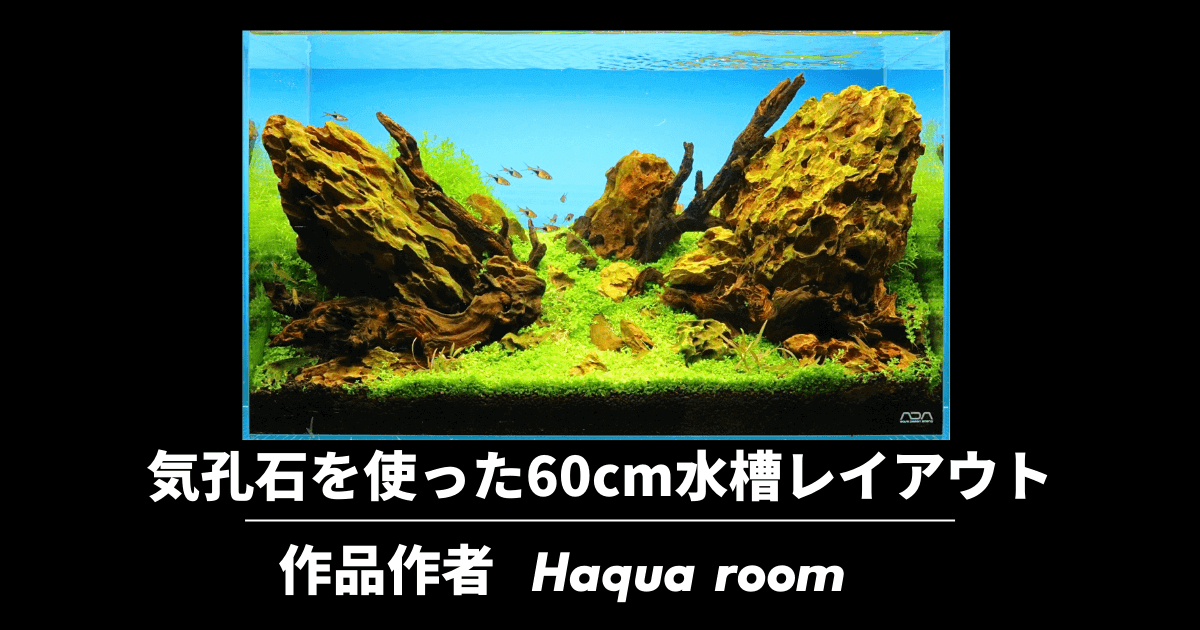 気孔石 黄虎石 を使った水槽レイアウト Haqua Room作 アクアリウムを楽しもう