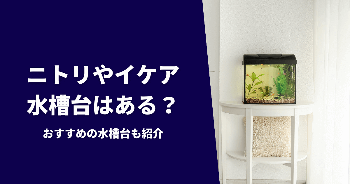 転覆病は死ぬ病 治らない 効果的な治し方や原因と対策を紹介 アクアリウムを楽しもう