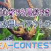 15cm水槽レイアウト