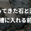 拾ってきた石と流木を水槽に入れるときの注意点