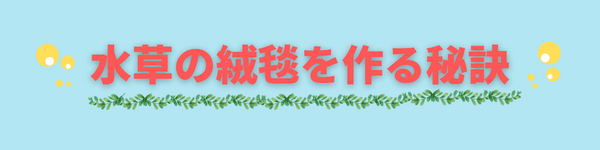 キューバパールグラスの植え方や育て方 Co2なしでも育つ水草