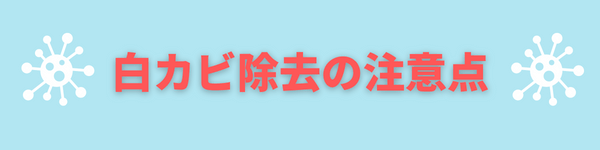 水槽に発生する白いフワフワの正体は 白カビ 水カビ対策方法と白カビを食べる生体 アクアリウムを楽しもう