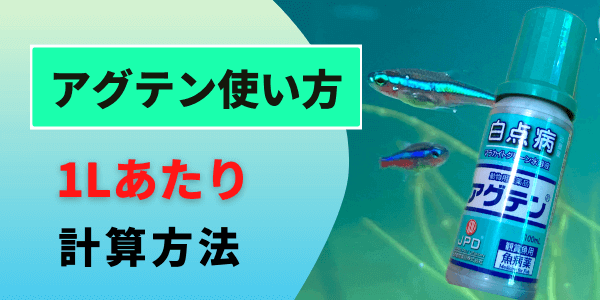 水草が枯れない白点病治療薬アグテンの使い方 1lあたりの計算も紹介 アクアリウムを楽しもう