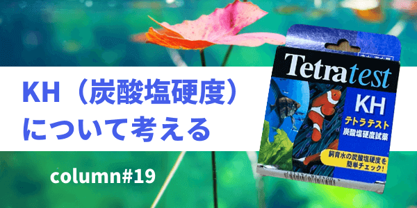 水質 Kh 炭酸塩硬度 について考える 水草水槽との関係 アクアリウムを楽しもう