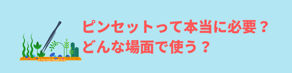 アクアリウムのピンセットおすすめ11選 ピンセットの種類と代用品を紹介 アクアリウムを楽しもう