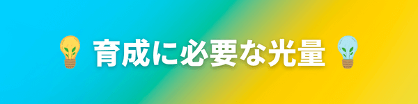 グロッソスティグマの上手な育て方 上に伸びる対策と枯れる原因 アクアリウムを楽しもう