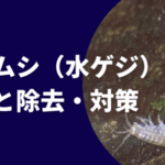 ミズムシ（水ゲジ）の駆除と対策