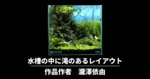 水草水槽に底面式フィルターは合う 合わない 使う方法を含めて紹介 アクアリウムを楽しもう 水草水槽に底面式フィルターは合う 合わない 使う方法を含めて紹介 アクアリウムを楽しもう