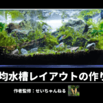 100均水槽レイアウトの作り方