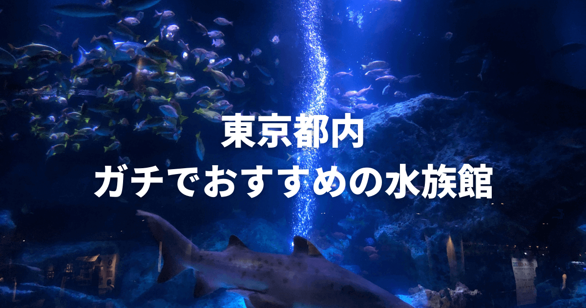 東京都内おすすめの水族館