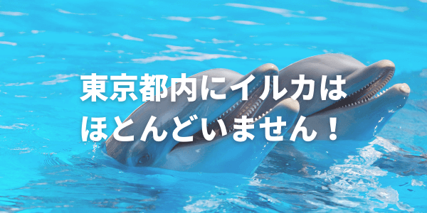 東京の水族館に実はイルカがいない
