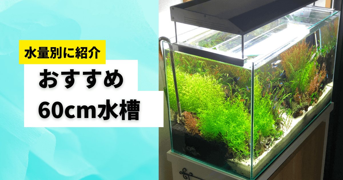 新着20%Off 水槽セット 60センチスリム KOTOBUKI 魚用品/水草