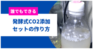 Co2レギュレーターおすすめ6選 手入れや組立簡単な製品を紹介 アクアリウムを楽しもう