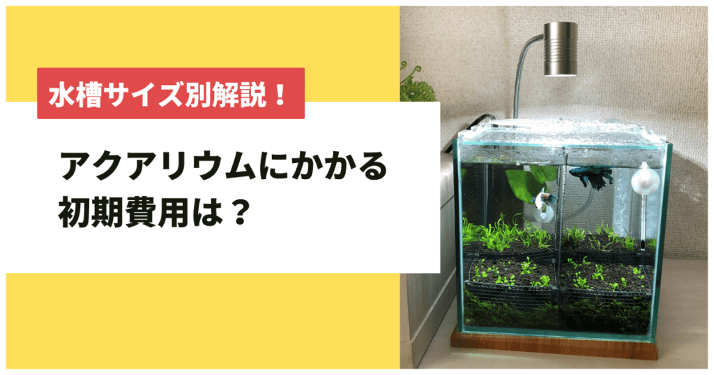 60cm水槽のおすすめ水量と安いメーカー サイズ別に紹介 12月更新 アクアリウムを楽しもう