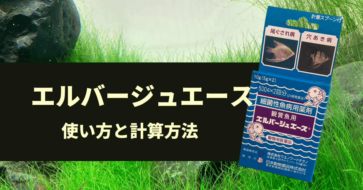 1l計算 エルバージュエースの計り方 薬浴期間 効能 使い方まとめ アクアリウムを楽しもう