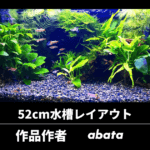 52cm水槽レイアウト