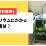 アクアリウムにかかる初期費用と維持費
