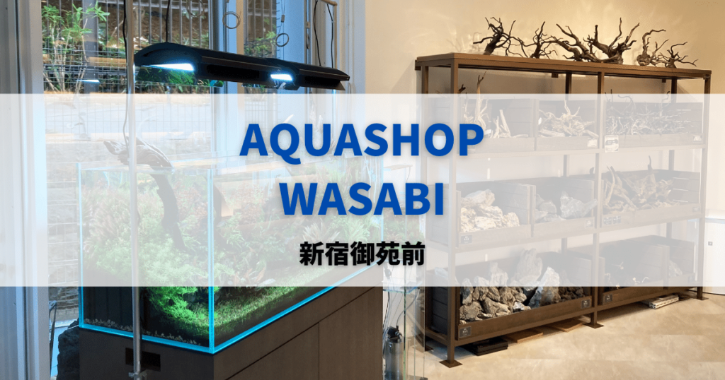 AQUASHOP：WASABI・新宿御苑店