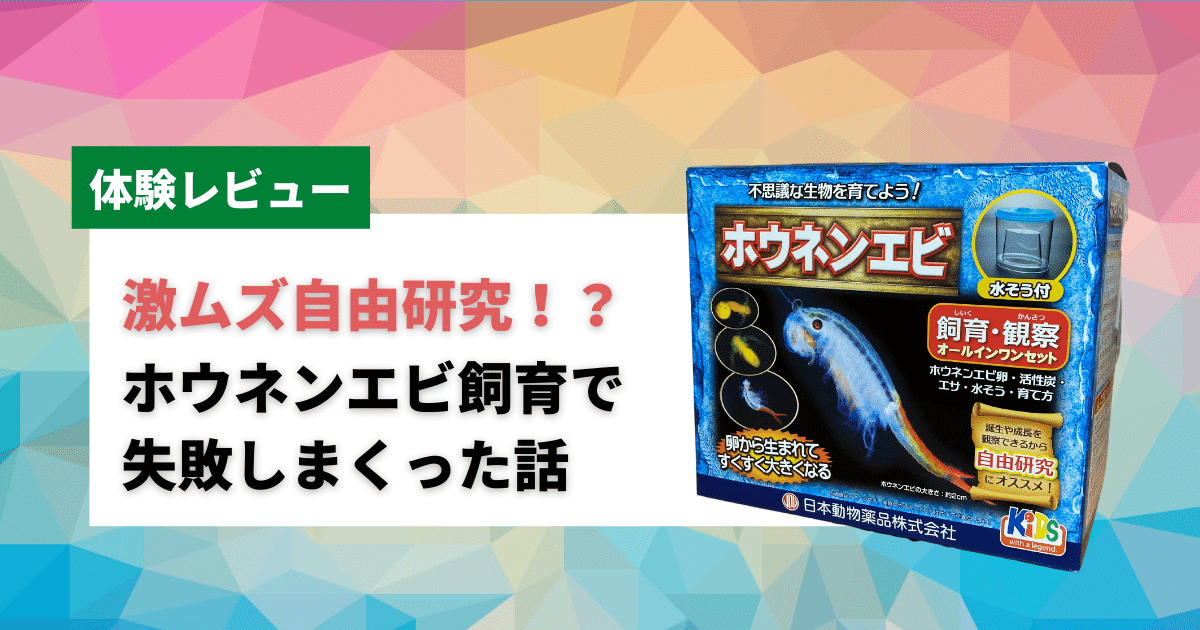 ホウネンエビ飼育は難しい 自由研究の価値アリ 飼育観察セット体験レビュー アクアリウムを楽しもう