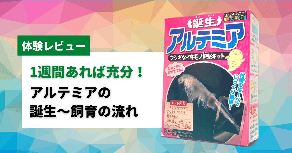 アルテミアの飼育は簡単 飼育方法まとめ 飼育キット体験レビュー アクアリウムを楽しもう