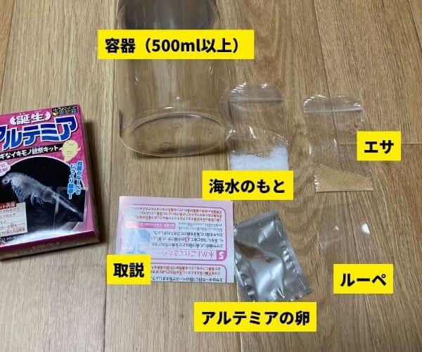 アルテミアの飼育は簡単 飼育方法まとめ 飼育キット体験レビュー アクアリウムを楽しもう