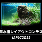 世界水草レイアウト2022結果