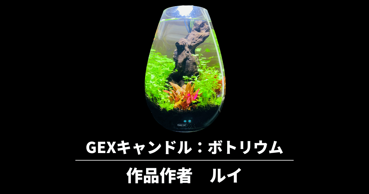 水草ボトリウムの作り方 Gexキャンドルを使ったレイアウト アクアリウムを楽しもう