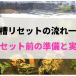 60cm水槽リセットで準備するもの