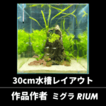 30cmキューブ水槽レイアウト立ち上げ
