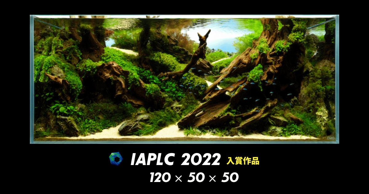 Iaplc22入賞作品 山頂を目指す 水草水槽レイアウトの作成過程と管理方法 アクアリウムを楽しもう