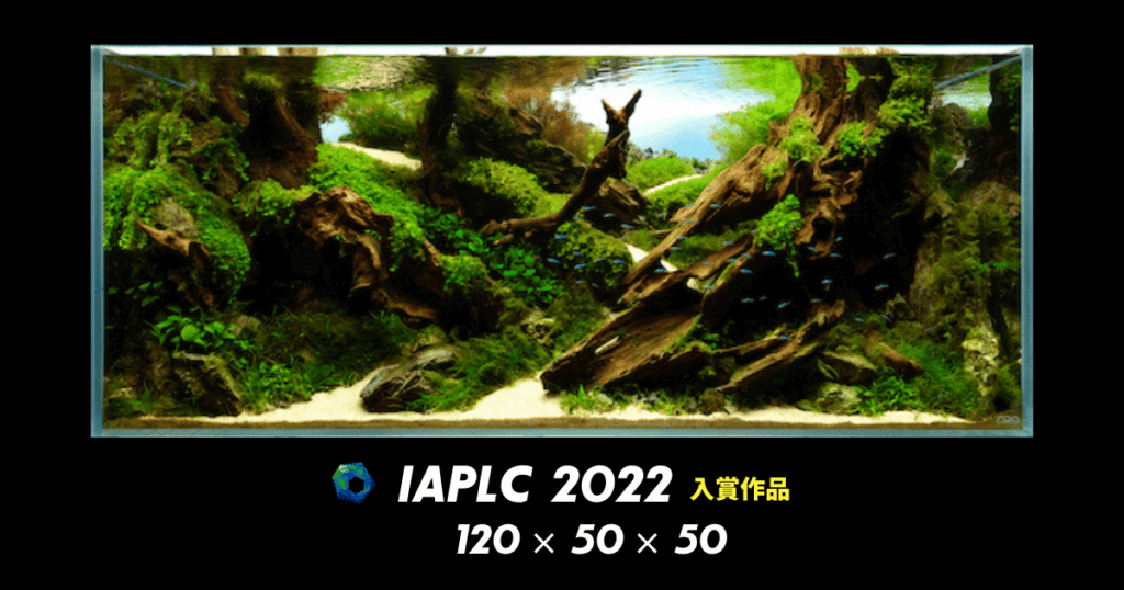 IAPLC2022入賞作品