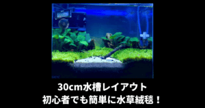 アクアリウムに初期費用や維持費は 水槽は少ない資金でも始められる アクアリウムを楽しもう
