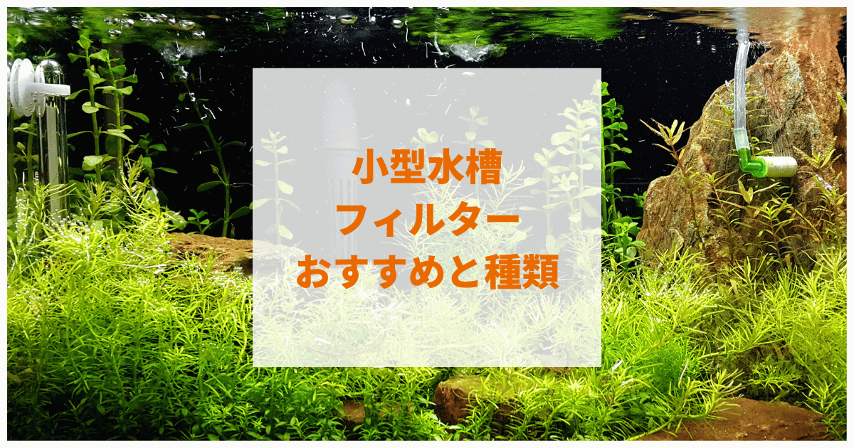 小型水槽フィルターで静かな商品おすすめ9選 投げ込み 外掛け 水中式 アクアリウムを楽しもう