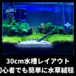 初心者でもできる30cm水槽レイアウト