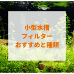 小型水槽フィルターで静かな商品おすすめ9選(投げ込み・外掛け・水中式)