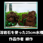 溶岩石を使った25cm水草水槽レイアウトの立ち上げと管理【緋作 -Hisaku-作】
