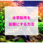 水草を売って副業する方法