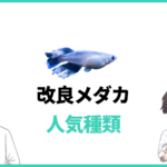 改良メダカの種類一覧